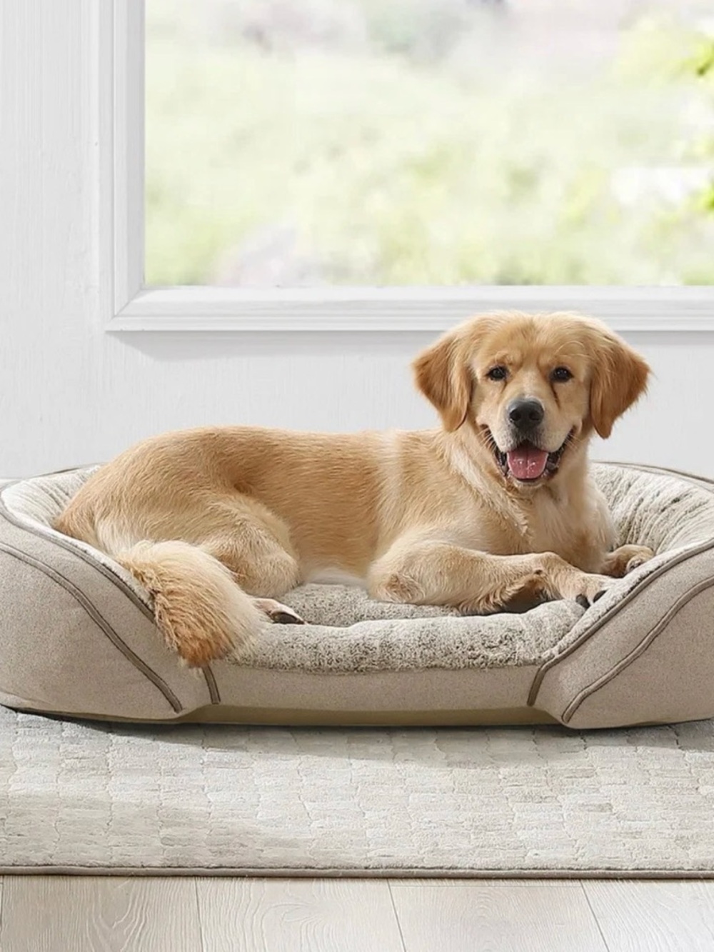 Kirkland Signature Sloped Cuddler Orthopedic Pet Bed